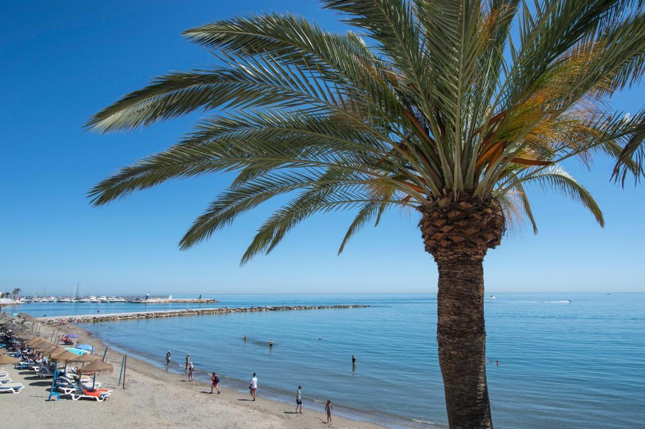 Cibeles...Estudio En El Paseo Maritimo....Wifi Marbella Eksteriør billede
